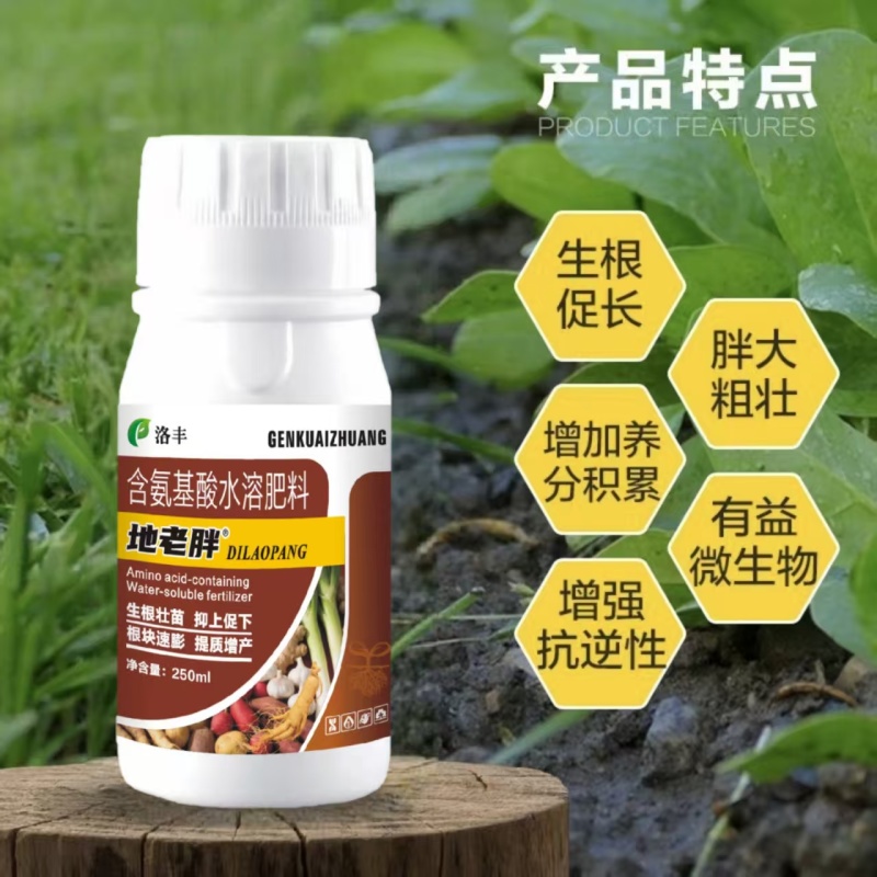 块根块茎促根壮杆控上促下地老胖含氨基酸水溶肥膨大增产