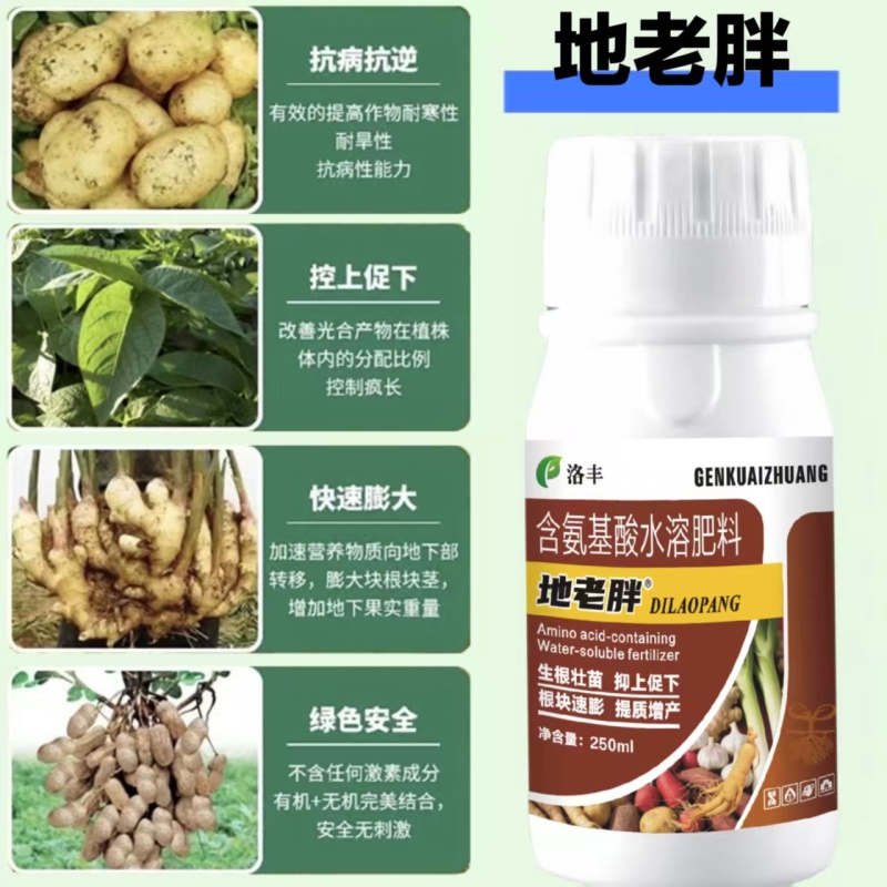 块根块茎促根壮杆控上促下地老胖含氨基酸水溶肥膨大增产