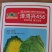 黄心白菜苗