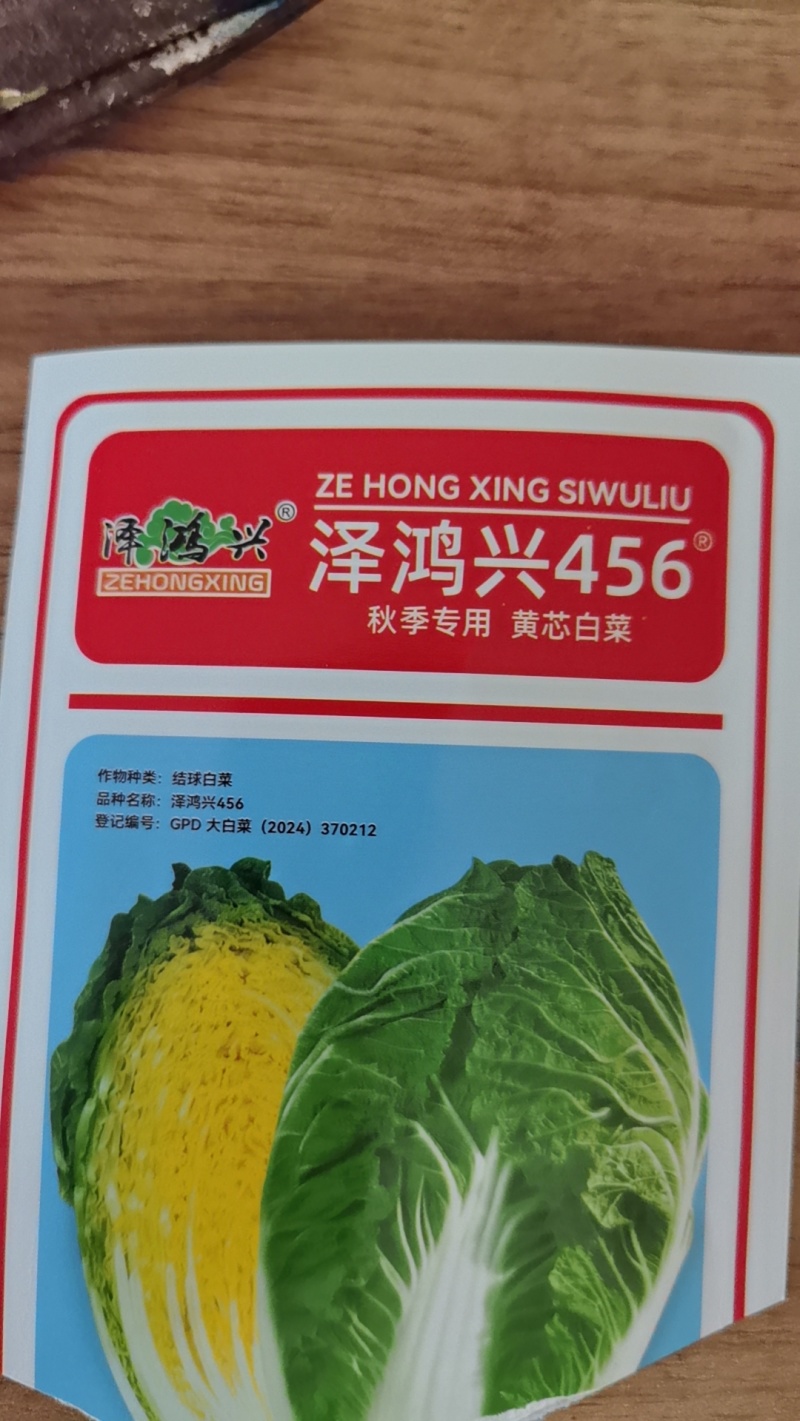 黄心白菜苗
