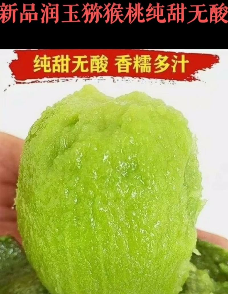有机瑞玉猕猴桃