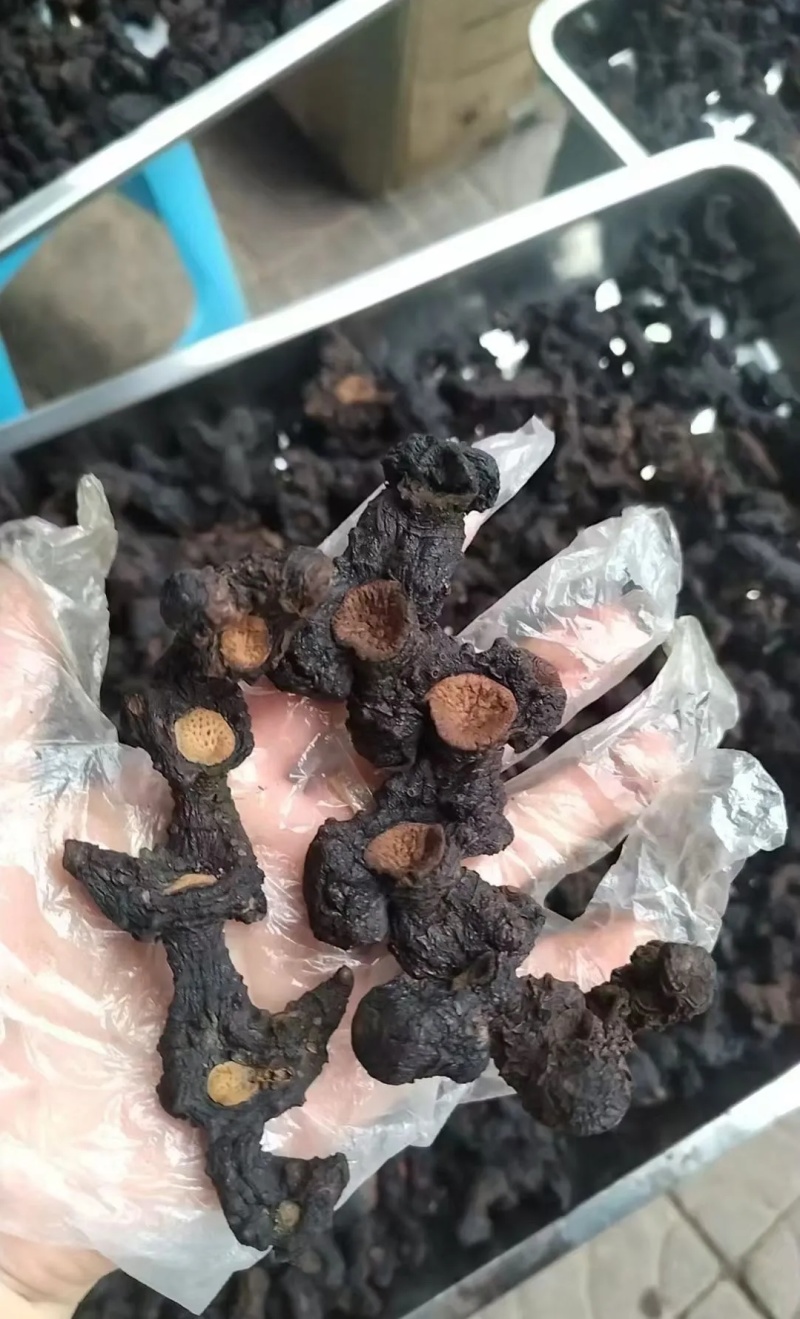 黄精九蒸九晒古法炮制，泡酒煮水汤汁浓稠持久，回味无穷