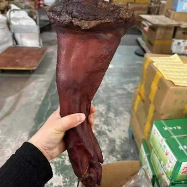 正宗重庆特产腊肉烟熏腊猪蹄农家自制柏树整只装腊猪脚四川腊