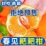 《柑桔苗》春见耙柑成活率高根系发达泥浆保湿基地直发