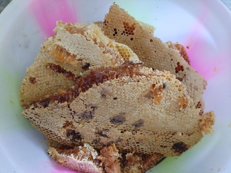 深山纯百花野生蜂蜜欢迎量大的朋友