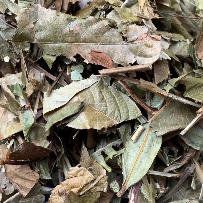 【包邮】葫芦茶、葫芦茶根有货可批量可零售量大从优