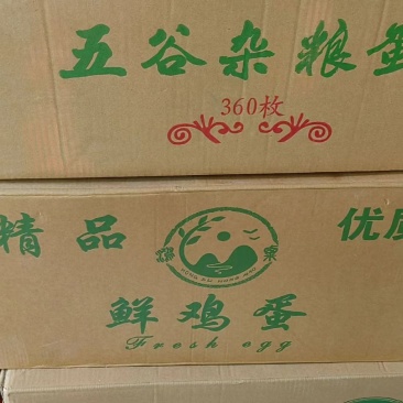 农村散养土鸡蛋一手货源产地直发.欢迎来问
