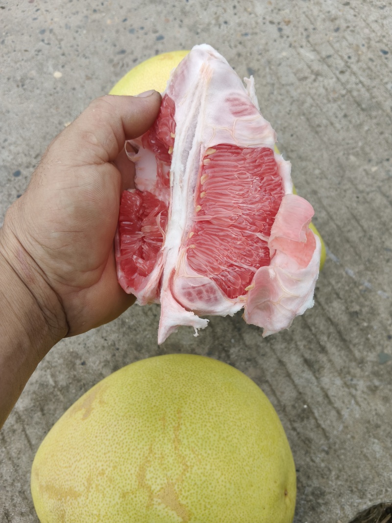 红心柚，1.2斤起步