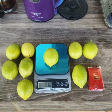 广东无籽香水柠檬