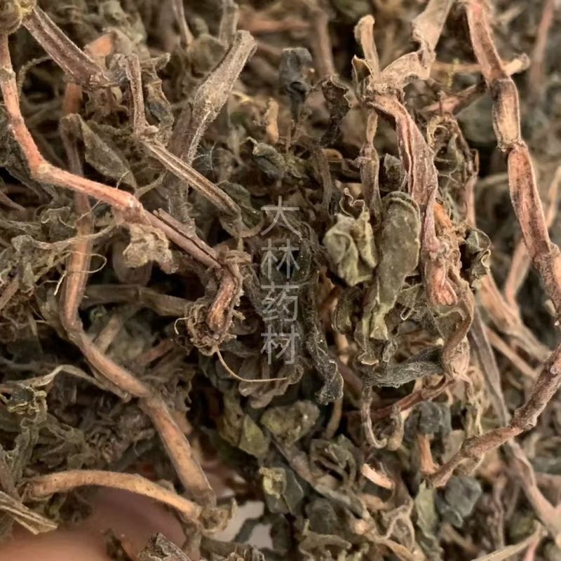 石蝉草【包邮】三斤起发货可批量可零售量大从优
