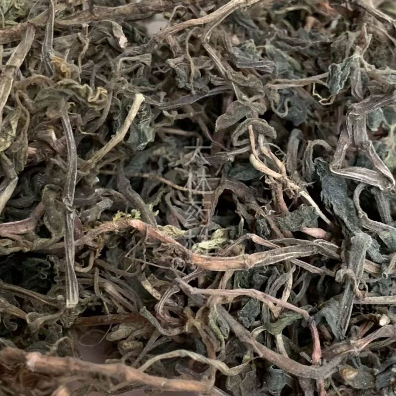 石蝉草【包邮】三斤起发货可批量可零售量大从优