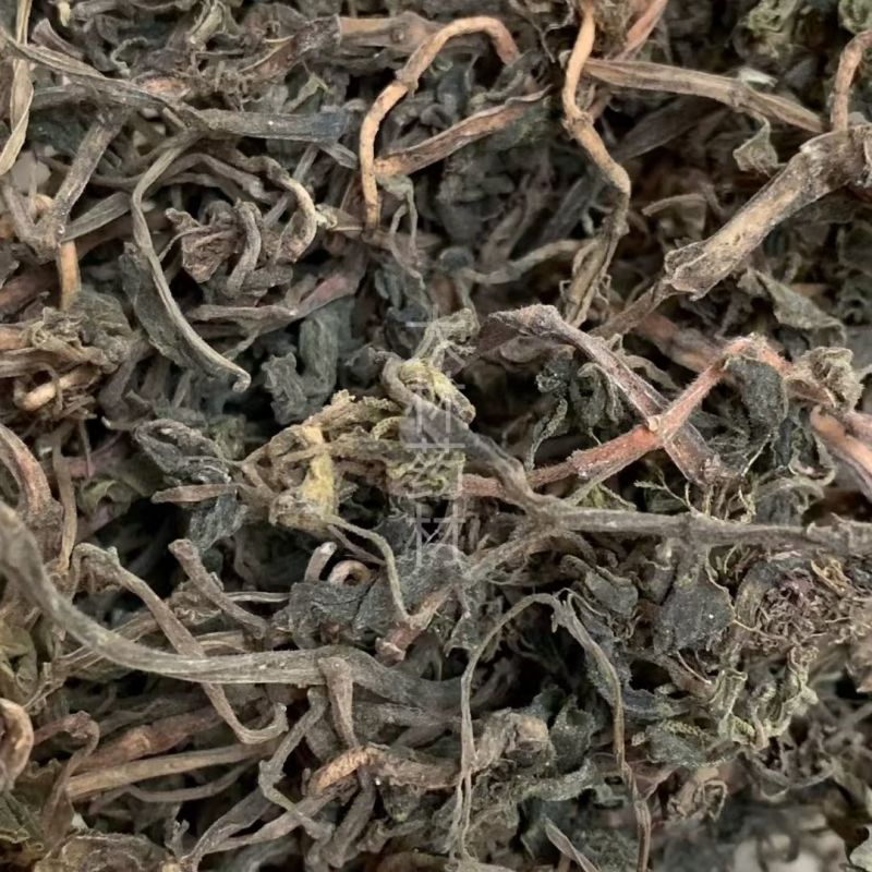 石蝉草【包邮】三斤起发货可批量可零售量大从优