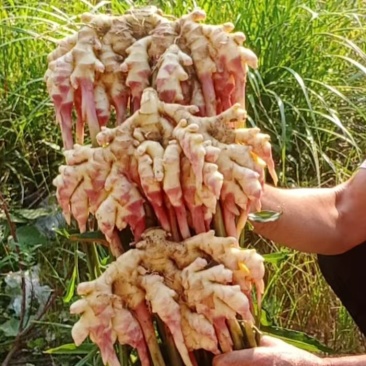 9月份的我