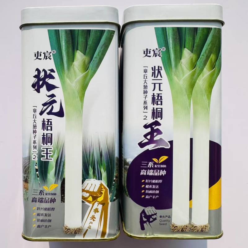 状元梧桐王大葱种子山东章丘大葱种子抗倒伏耐寒抗病返青早春