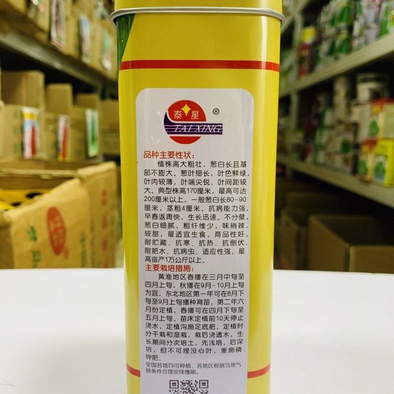 状元梧桐王大葱种子山东章丘大葱种子抗倒伏耐寒抗病返青早春