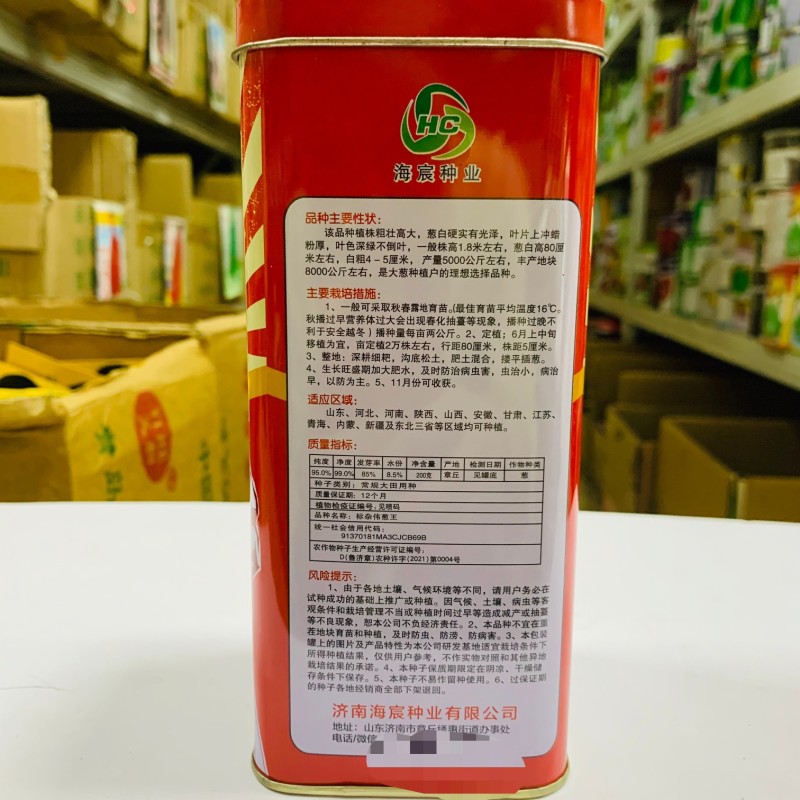 标杂伟葱王大葱种子葱白硬实粗长抗病抗倒伏产量高返青早生长