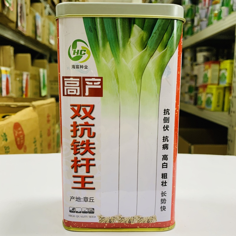 标杂伟葱王大葱种子葱白硬实粗长抗病抗倒伏产量高返青早生长