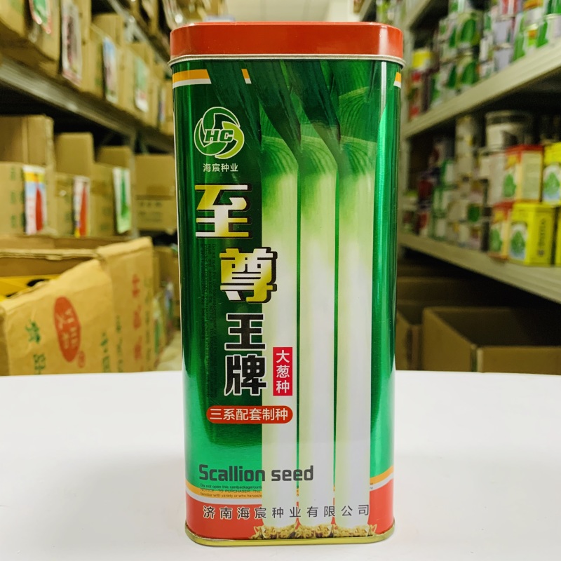 标杂伟葱王大葱种子葱白硬实粗长抗病抗倒伏产量高返青早生长
