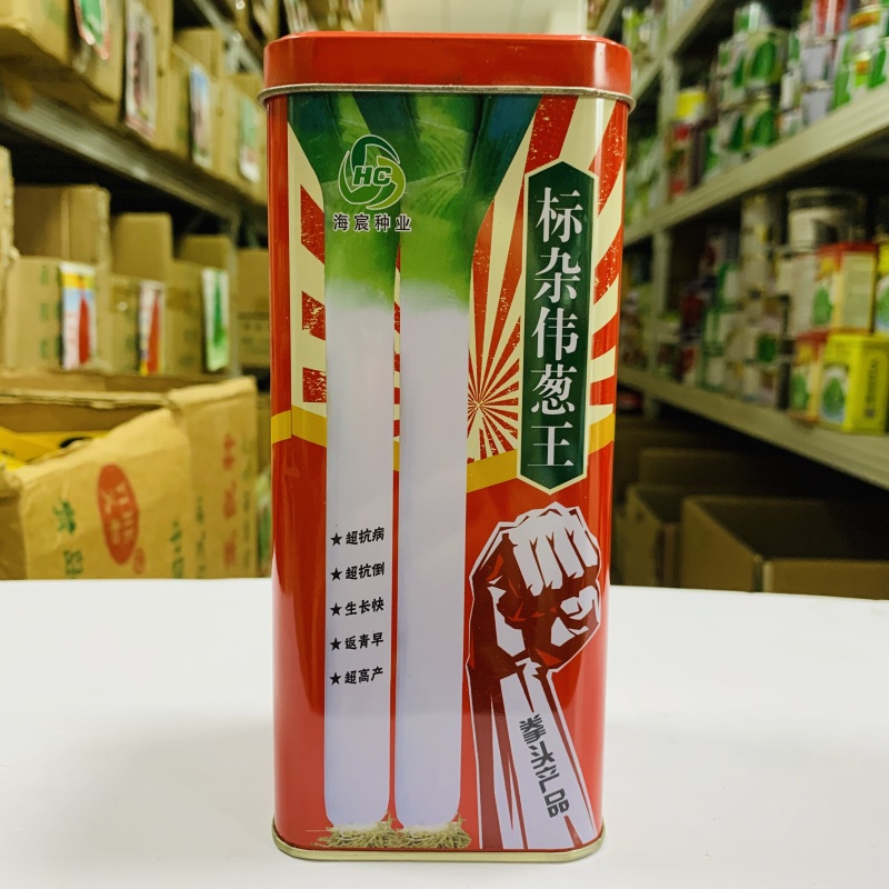标杂伟葱王大葱种子葱白硬实粗长抗病抗倒伏产量高返青早生长