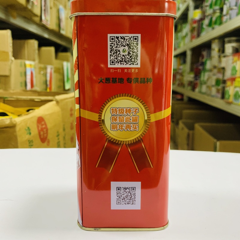 标杂伟葱王大葱种子葱白硬实粗长抗病抗倒伏产量高返青早生长