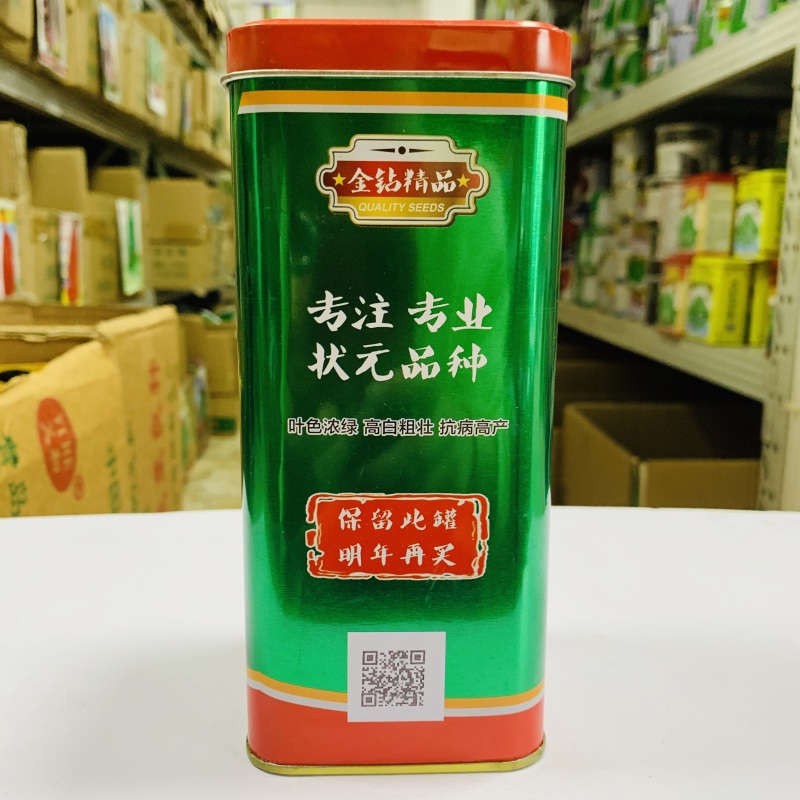 标杂伟葱王大葱种子葱白硬实粗长抗病抗倒伏产量高返青早生长