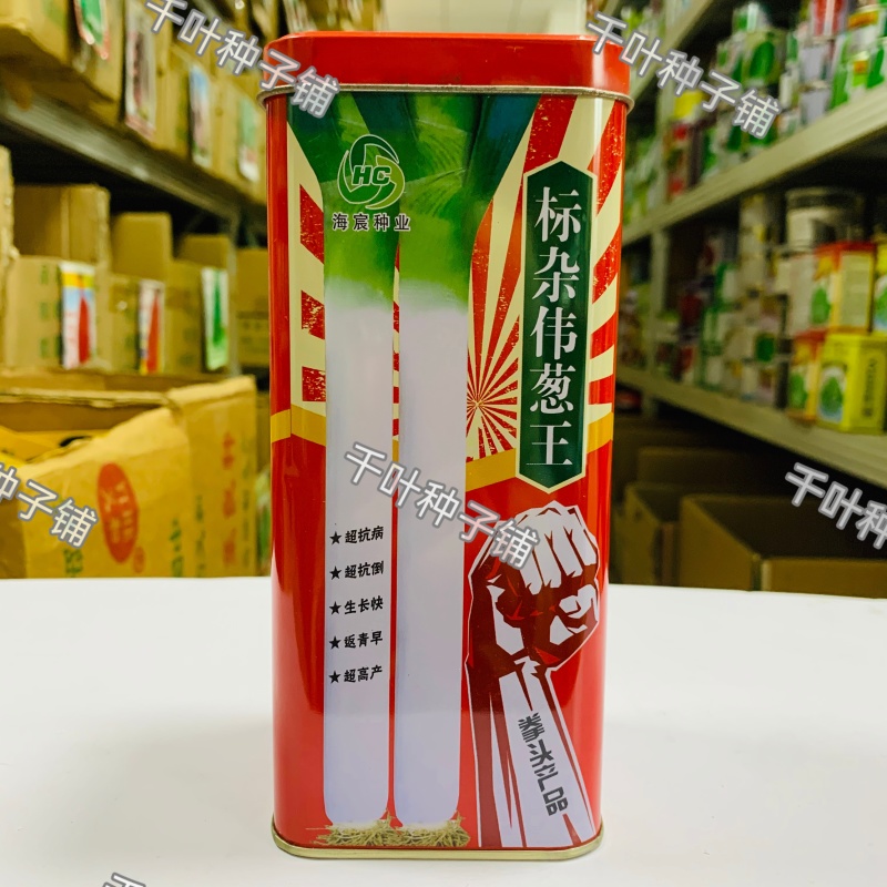 标杂伟葱王大葱种子葱白硬实粗长抗病抗倒伏产量高返青早生长