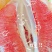 福建平和柚子