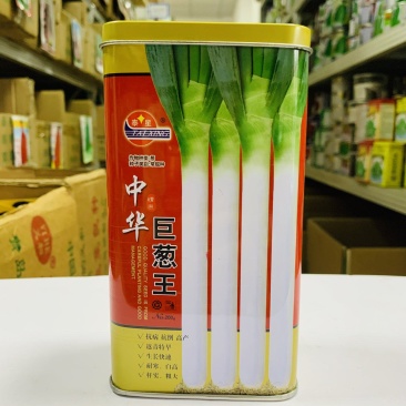 中华巨葱王大葱种子山东铁杆巨葱种子原装抗病铁杆大葱种