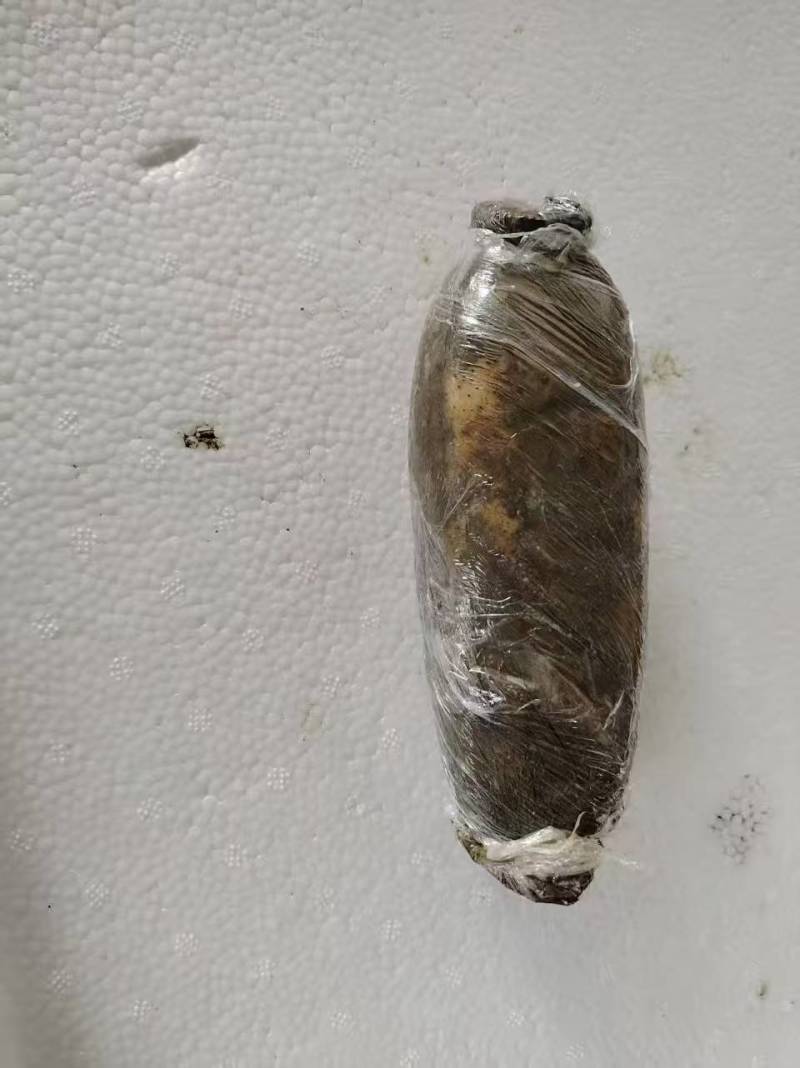 洪湖莲藕大量上市产地直发量大从优欢迎来电