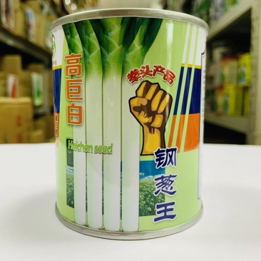 高巨白钢葱种子高产抗病耐热耐寒春秋播农家菜园基地种植蔬