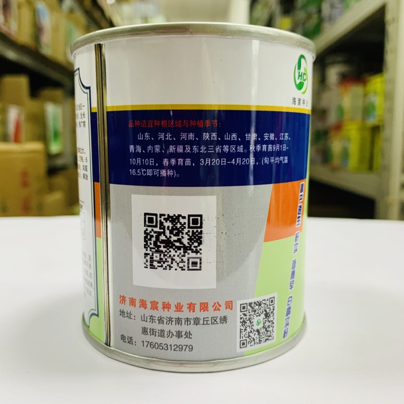 高巨白钢葱种子高产抗病耐热耐寒春秋播农家菜园基地种植蔬