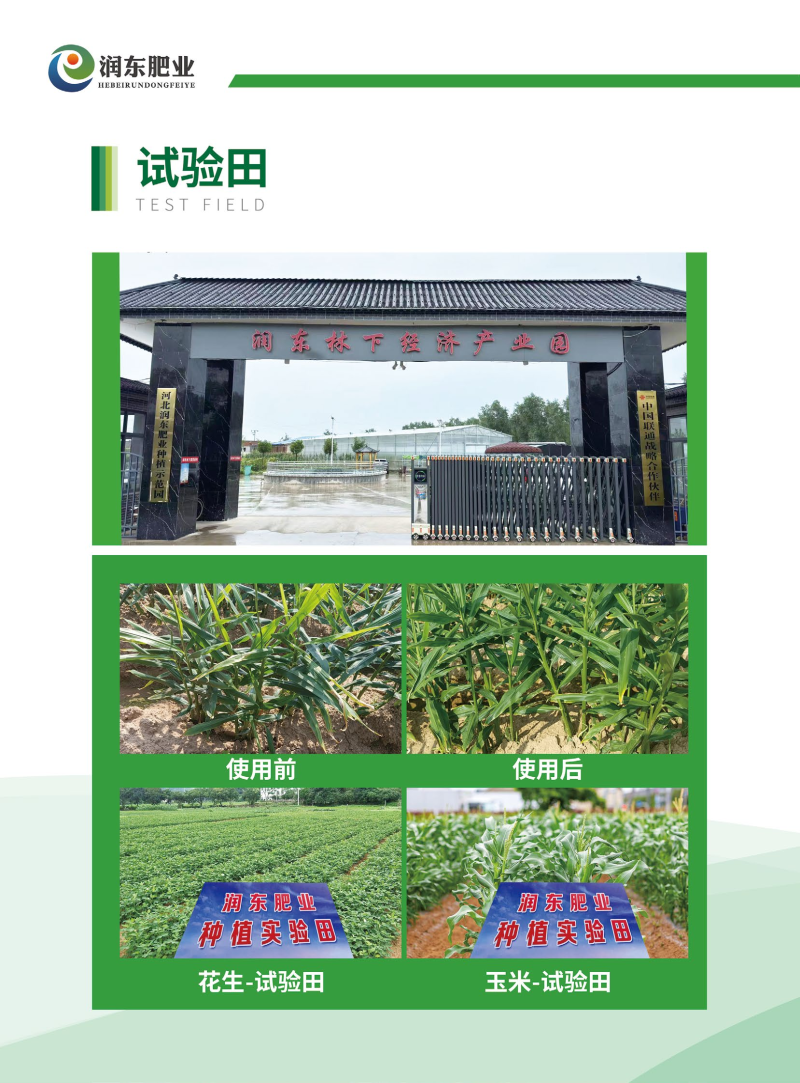 速根优果
