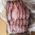 红目鲢船冻红目鲢大眼鸡