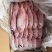 红目鲢船冻红目鲢大眼鸡