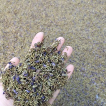 2025年新货葛花/小葛花/大葛花，一手货源，品质保证