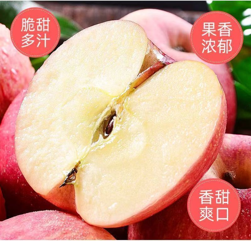 【红富士苹果】通货精品果脯果以质论价可视频看货优选苹果