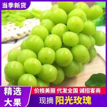 阳光玫瑰全国发货皮薄肉厚甜度高山东沂源葡萄量大从优
