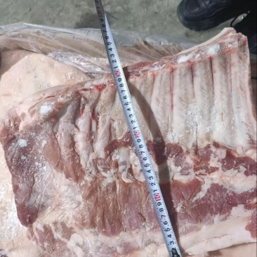 肥猪带皮带肋中方