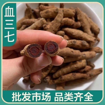 正品血三七云南正品血三七中药材血三七云南血三七