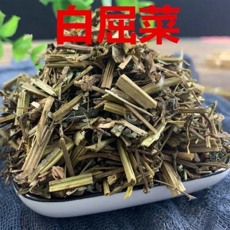 白屈菜中药材正宗精选正品新货质量保证欢迎采购
