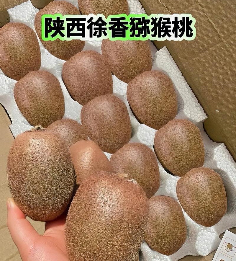 陕西徐香猕猴桃/10斤装/80元包邮发货/新鲜现摘