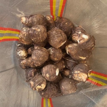 《畅销》豆包芋头山东基地直发对接全国量大从优一条龙服务