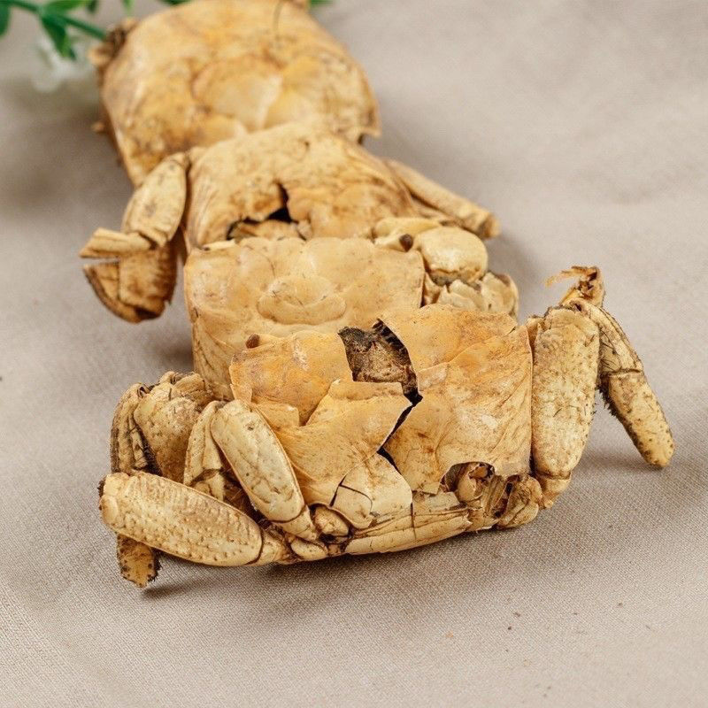 正品中药材螃蟹壳保质方海保量产地直发欢螃蟹甲