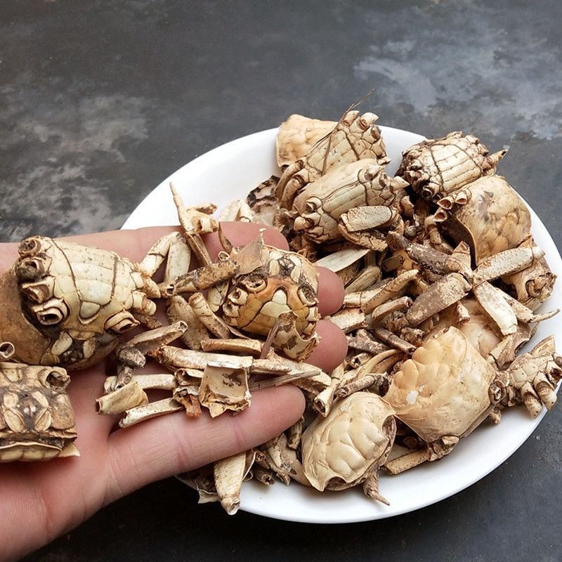 正品中药材螃蟹壳保质方海保量产地直发欢螃蟹甲