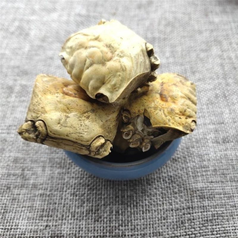 正品中药材螃蟹壳保质方海保量产地直发欢螃蟹甲