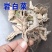 岩白菜中药材野生大叶岩壁菜石红岩七多岩白菜野生大叶岩石白