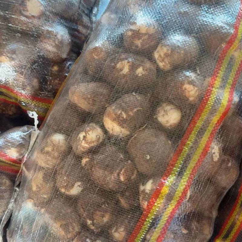 《精选》豆包芋头山东基地直发对接全国商超团购电商供应链