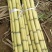黄金黄皮甘蔗，水分充足，产地直供，量大从优，欢迎咨询