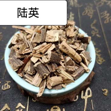 陆英陆英草中药材20g克包邮接骨草走马风八棱麻蒴藋
