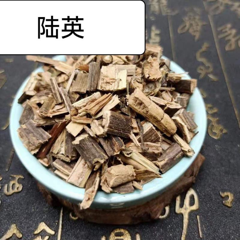陆英陆英草中药材20g克包邮接骨草走马风八棱麻蒴藋